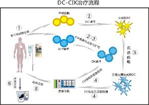 細胞免疫療法